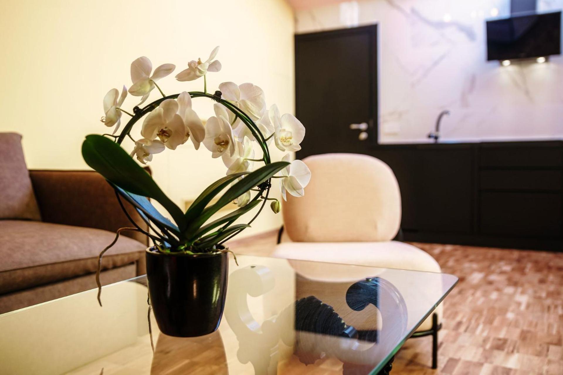 Aurum - Como Luxury Suites Zimmer foto